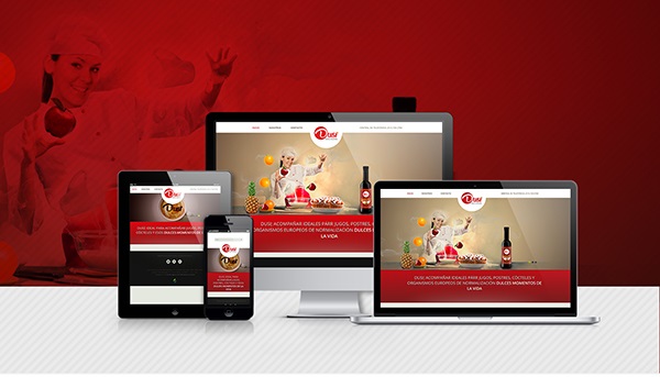 Diseño de Paginas Web
