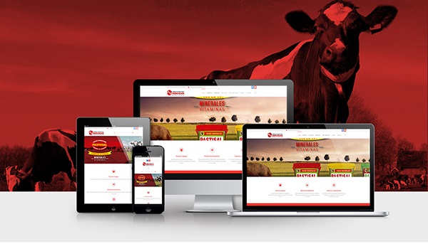Diseño de Paginas Web